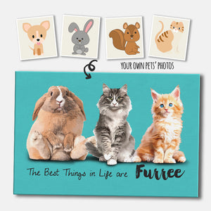 Custom The Best Things in Life are Furree Rectangular Canvas