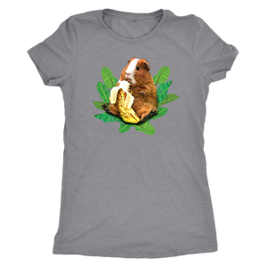 Cute Guinea Pig Eating Banana - Women Triblend T-Shirt
