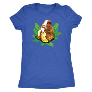 Cute Guinea Pig Eating Banana - Women Triblend T-Shirt