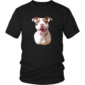 Pitbull Smiling Raglan/T-Shirt/Tank/Hoodie