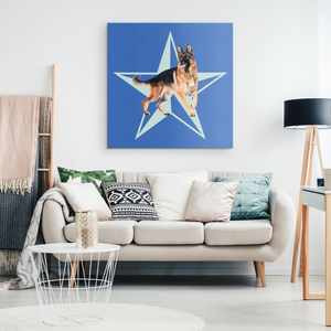 Custom Canvas - Big Star