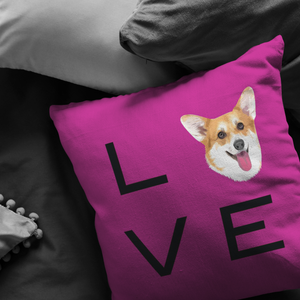Custom LOVE Pillow