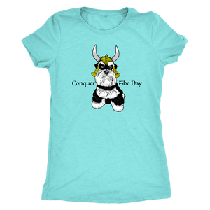 Schnauzer Viking Conquer The Day Women Triblend T-Shirt