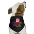 Instagram Celebrity 2021 Dog Bandana (only one size and it’s big)
