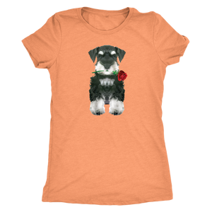 Miniature Schnauzer Puppy with Red Rose -Women Triblend T-Shirt